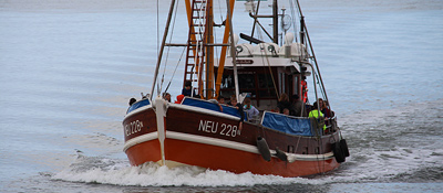 European guide for risk prevention in small fishing vessels