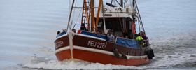 Picture: Fishing vessels © Christian Bubenzer